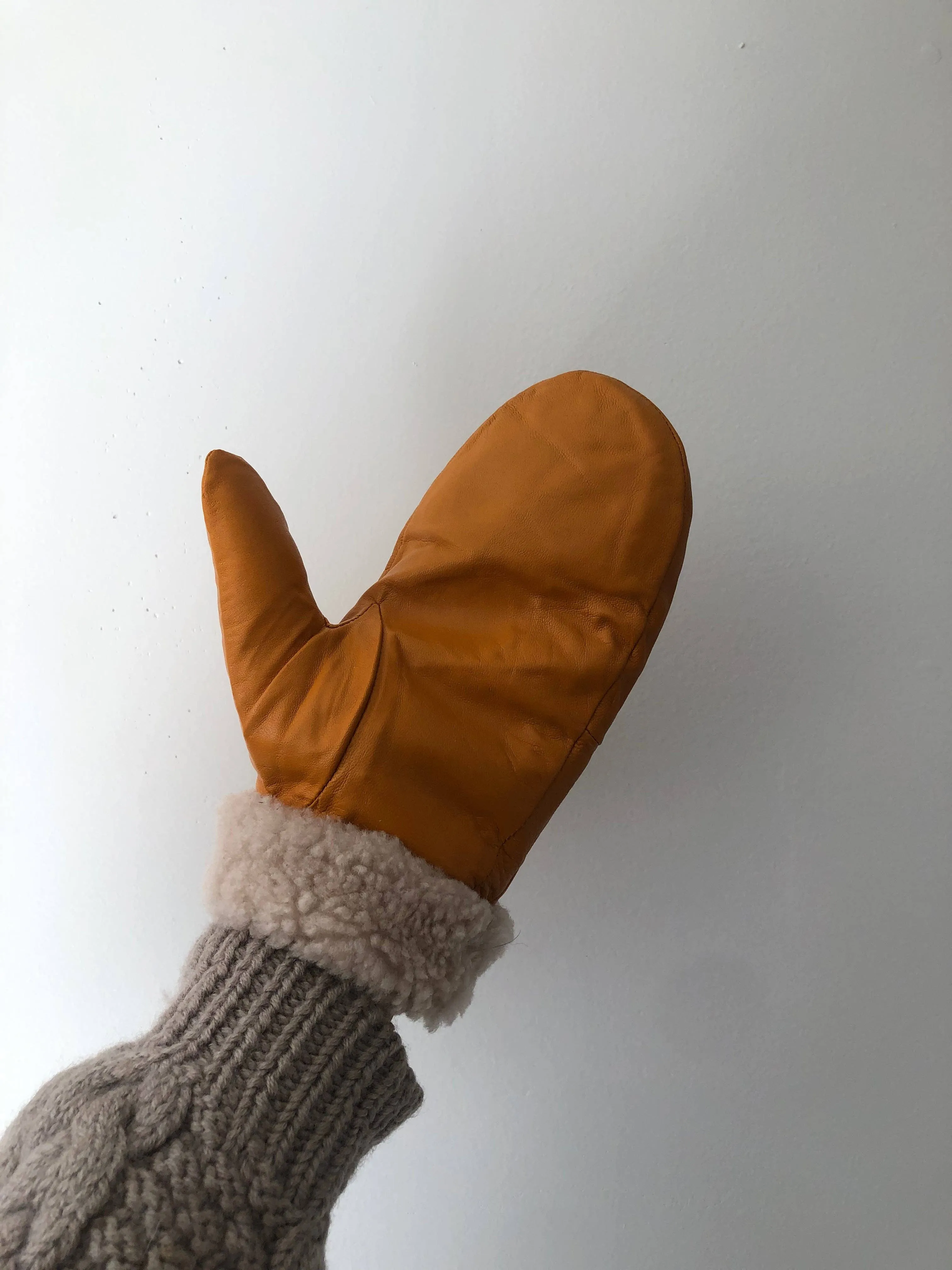 Leather Shearling Mittens