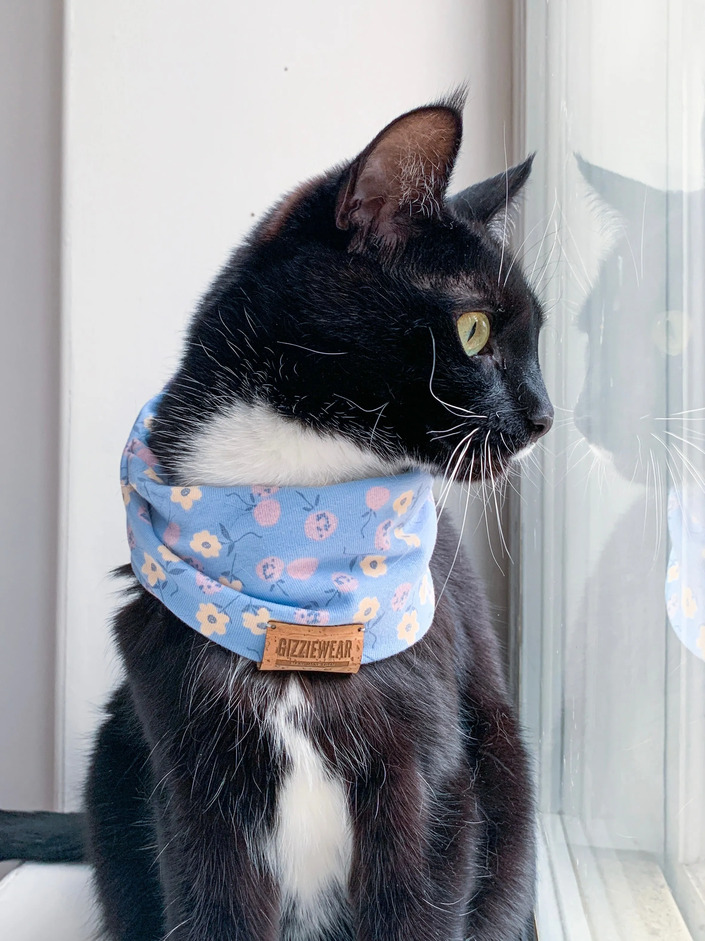 Myosotis pet scarf