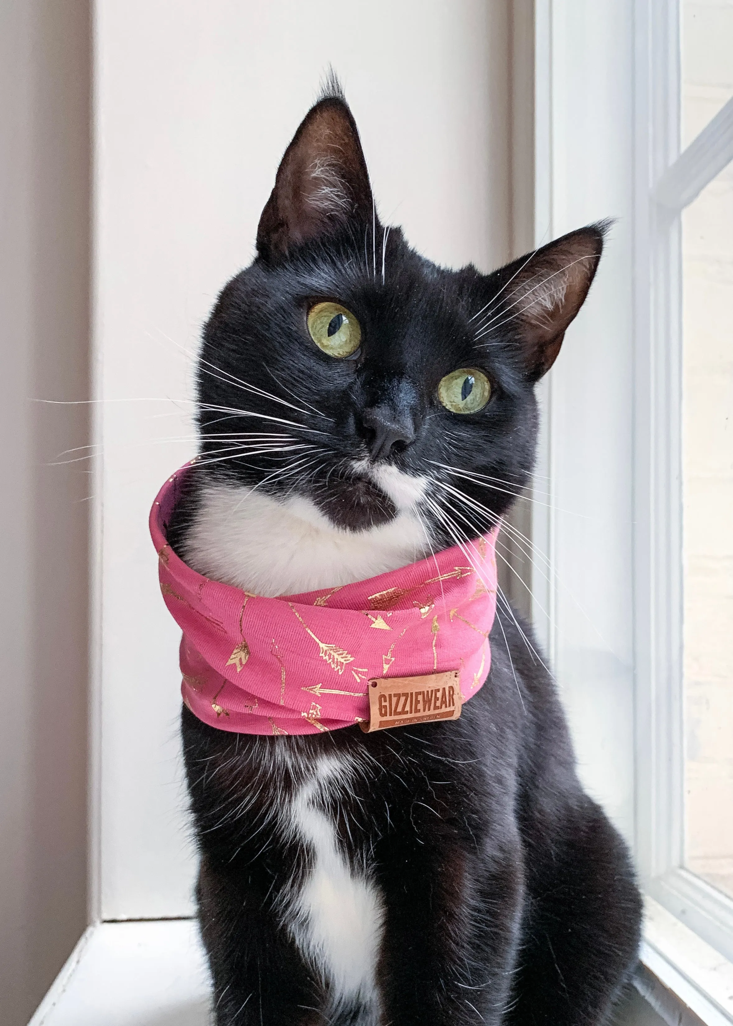 Princess Amore pet scarf